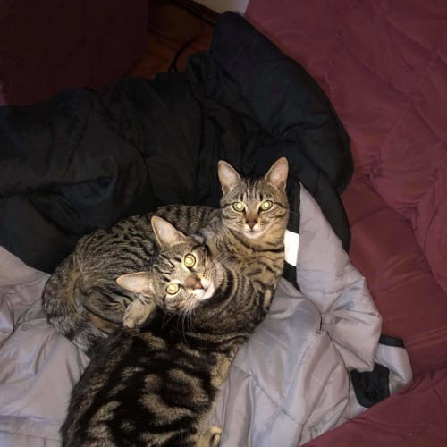 Spunky and Skittles ❤❤