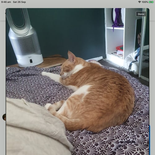 Pixel