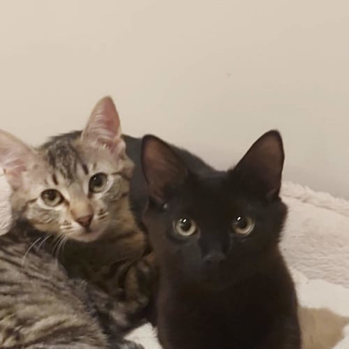 Salem and Tayla ❤❤
