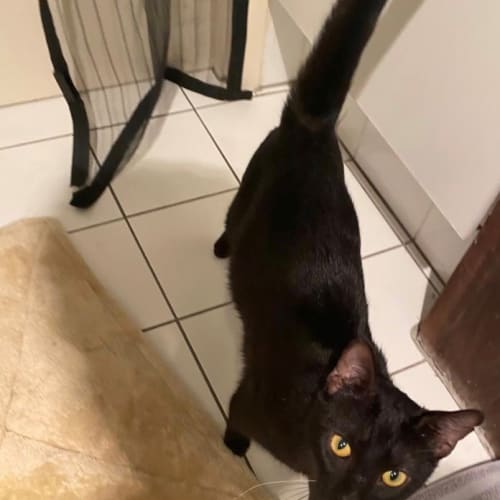 Salem
