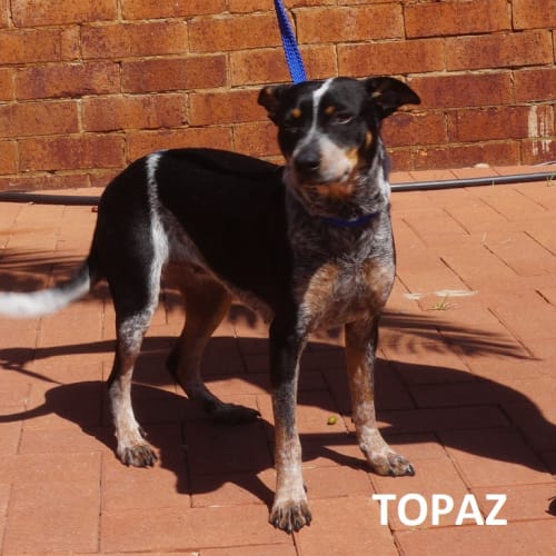 Topaz