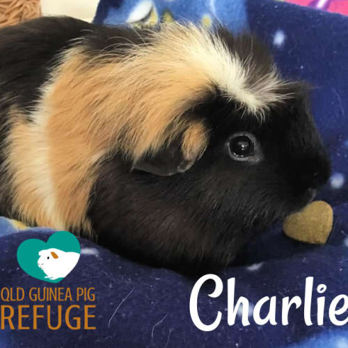 Charlie