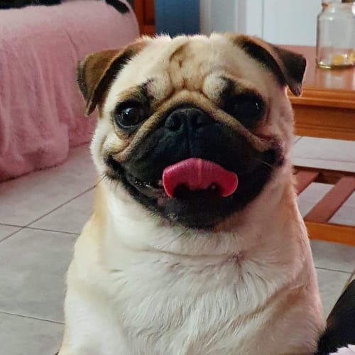 Mia
