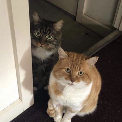 Barry & Bruce
