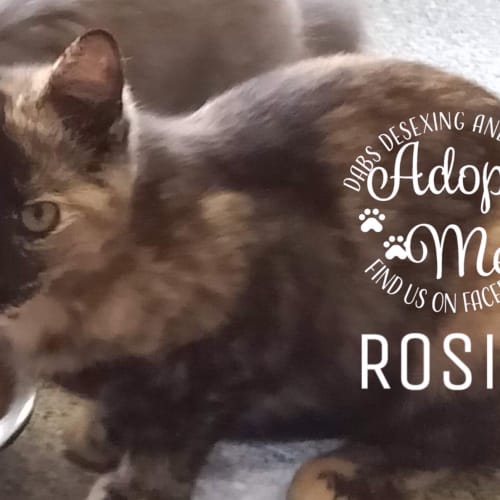 Rosie