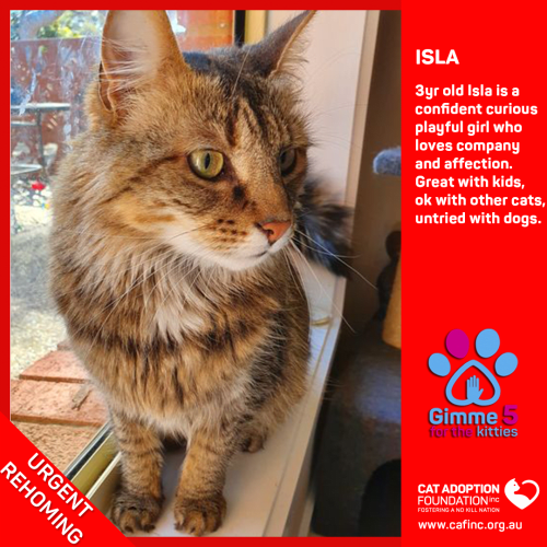 Isla