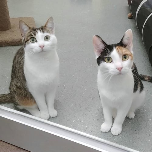 Jessie & Lois