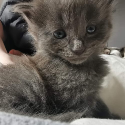 Mira ❤