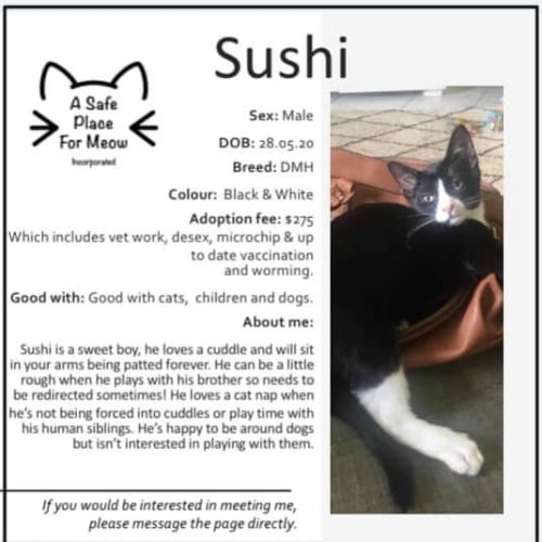 Sushi