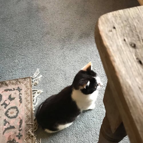 George