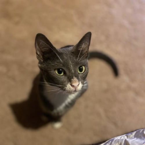 Stormi