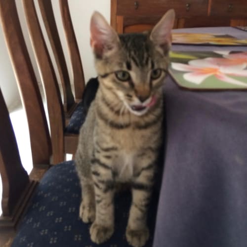 Sebastian
