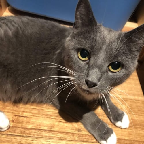 💖💖💖Millie💖💖💖