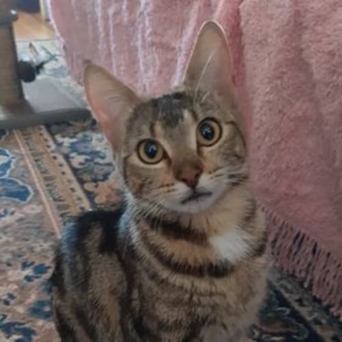Quinn