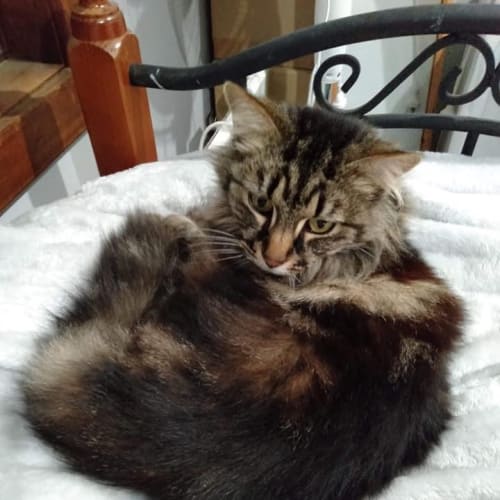 Xena