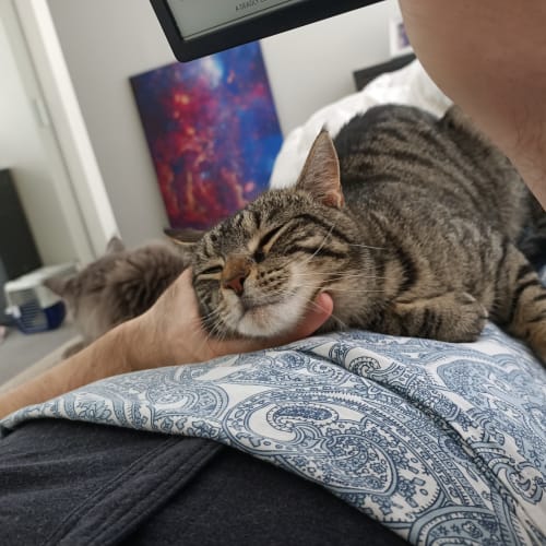 Mia