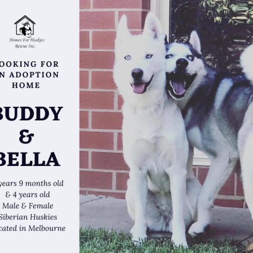 Buddy & Bella