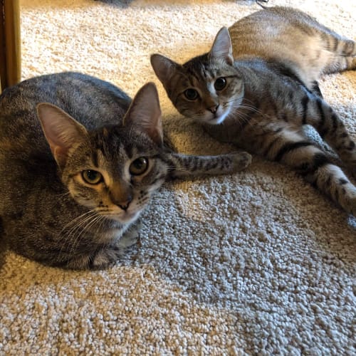 Xena & Leon 