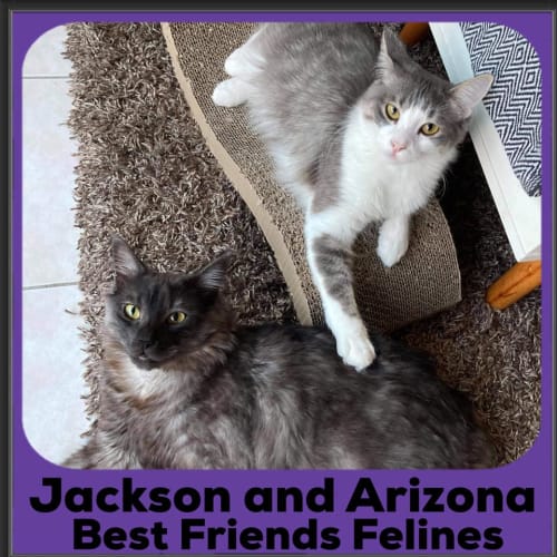 Jackson and Arizona 