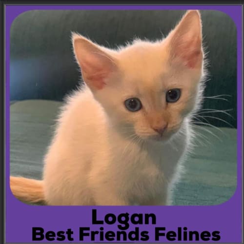 Logan