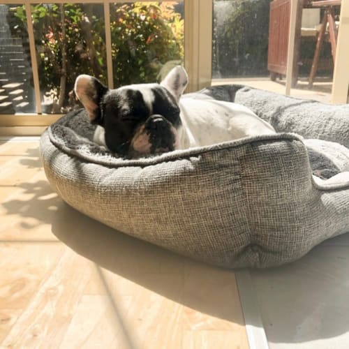 Marnie & Panda Wazowski 