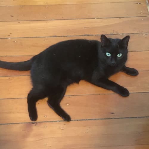Suzie
