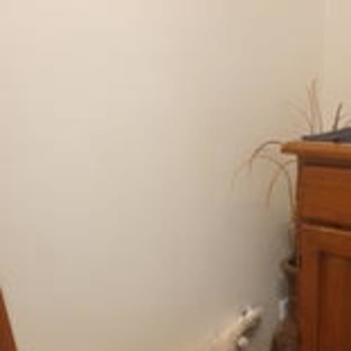 Bailey 