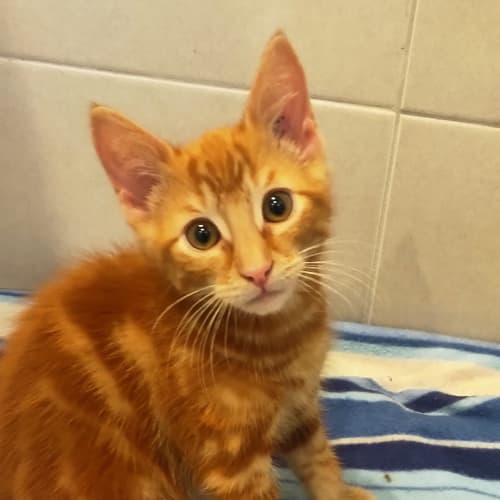 Ed - Located in Reservoir