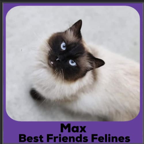 Max 