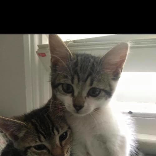 Frank & Olivia