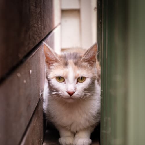 Wonderful