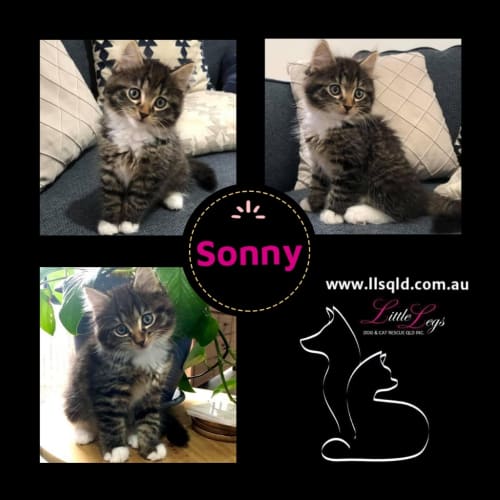 Sonny