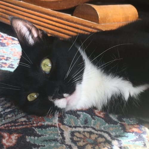 Maggie