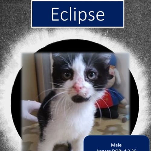 Eclipse