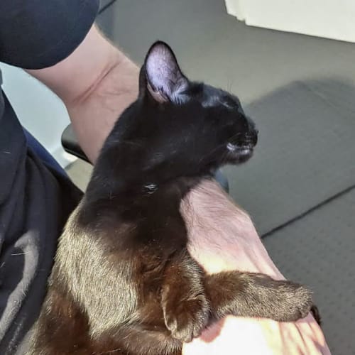 Ella - Located in Brunswick