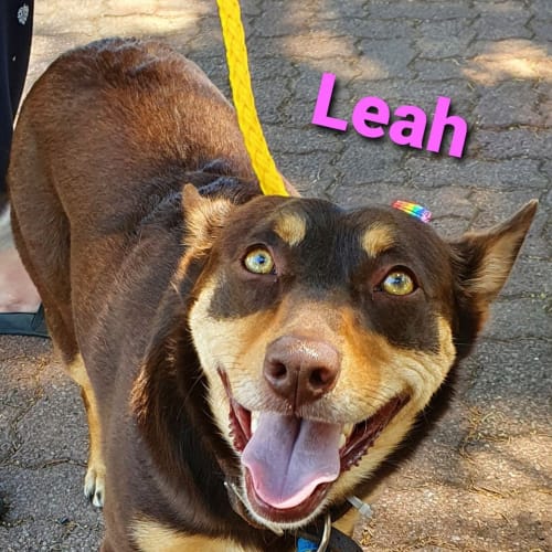 Leah