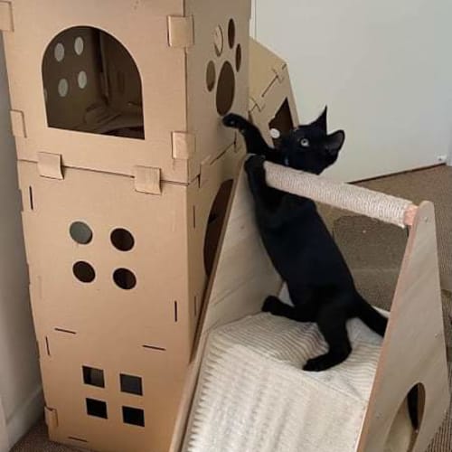 Bagheera