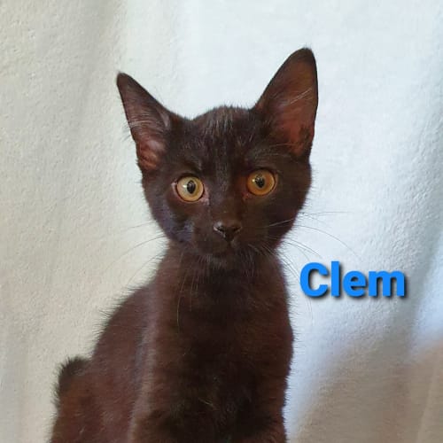 Clem