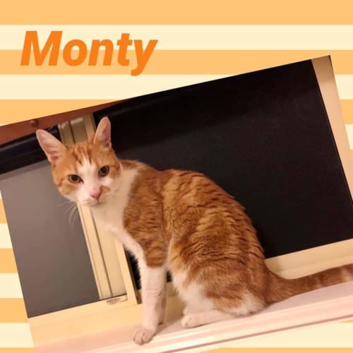 Monty