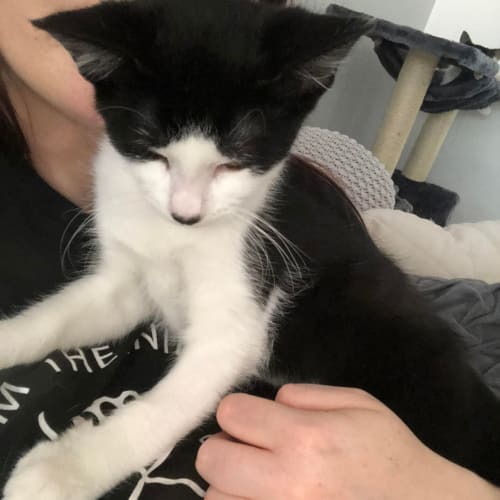 Charlotte - Located in Ivanhoe
