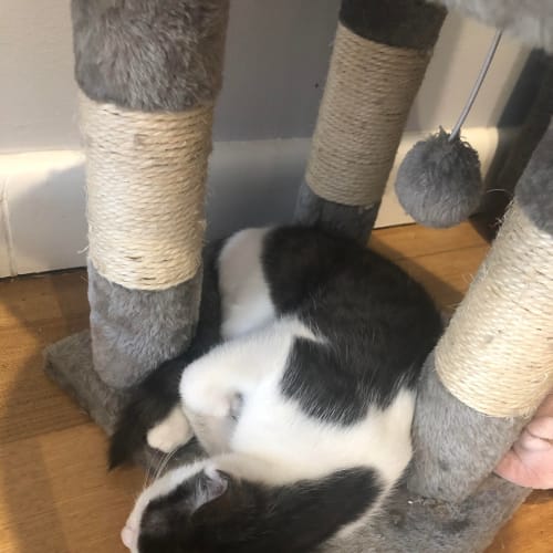 Wilbur - Located in Ivanhoe
