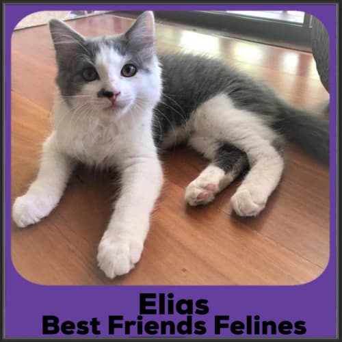 Elias 