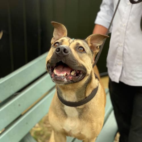 Narla - Happy Girl