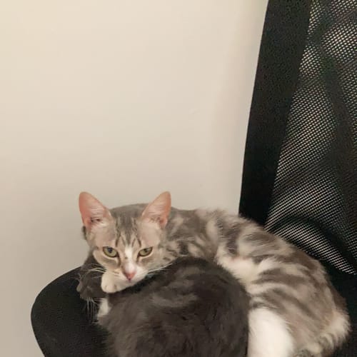 Lexi and Jude