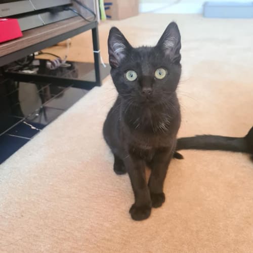 Luna