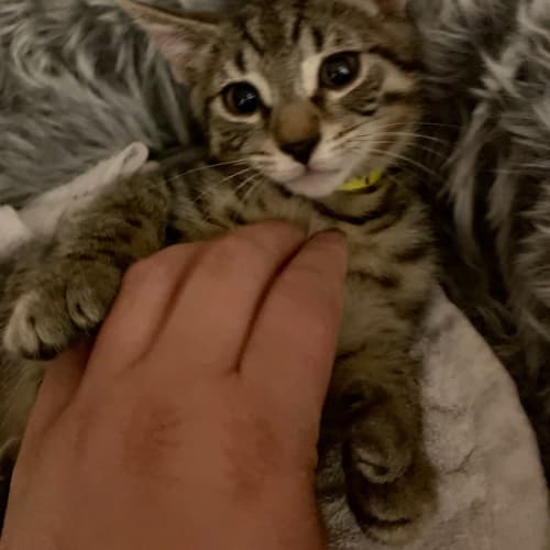 Winky