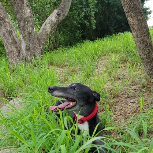 Wally