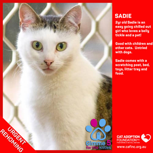 Sadie