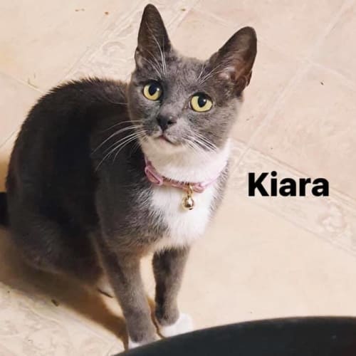 Kiara