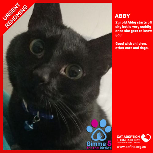 Abby